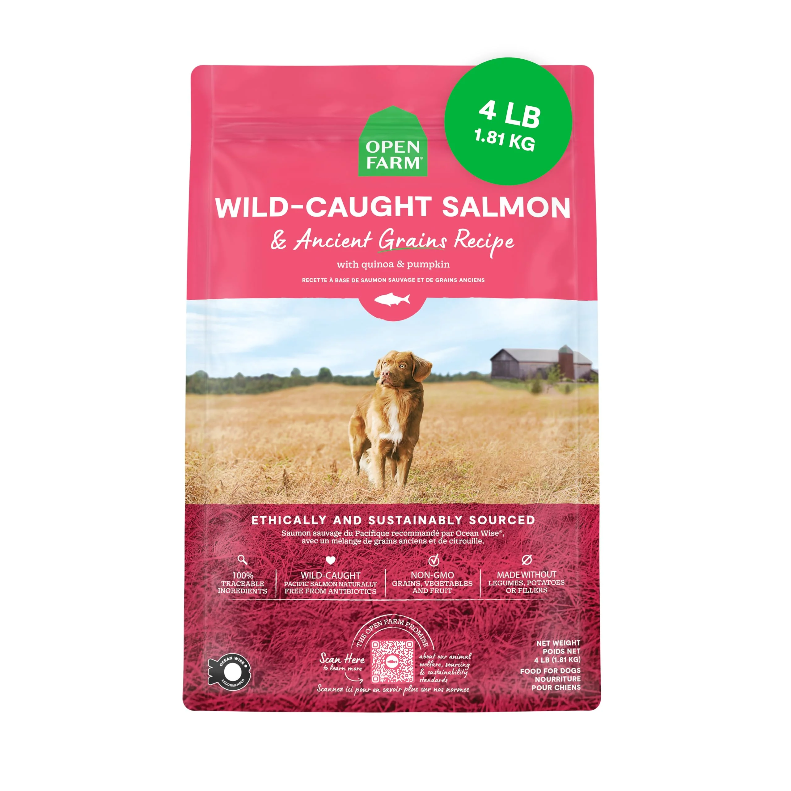 Environmentally Friendly Open Farm Ancient Grains Dry Dog Food – Wild Salmon Recipe 4lb Versatile