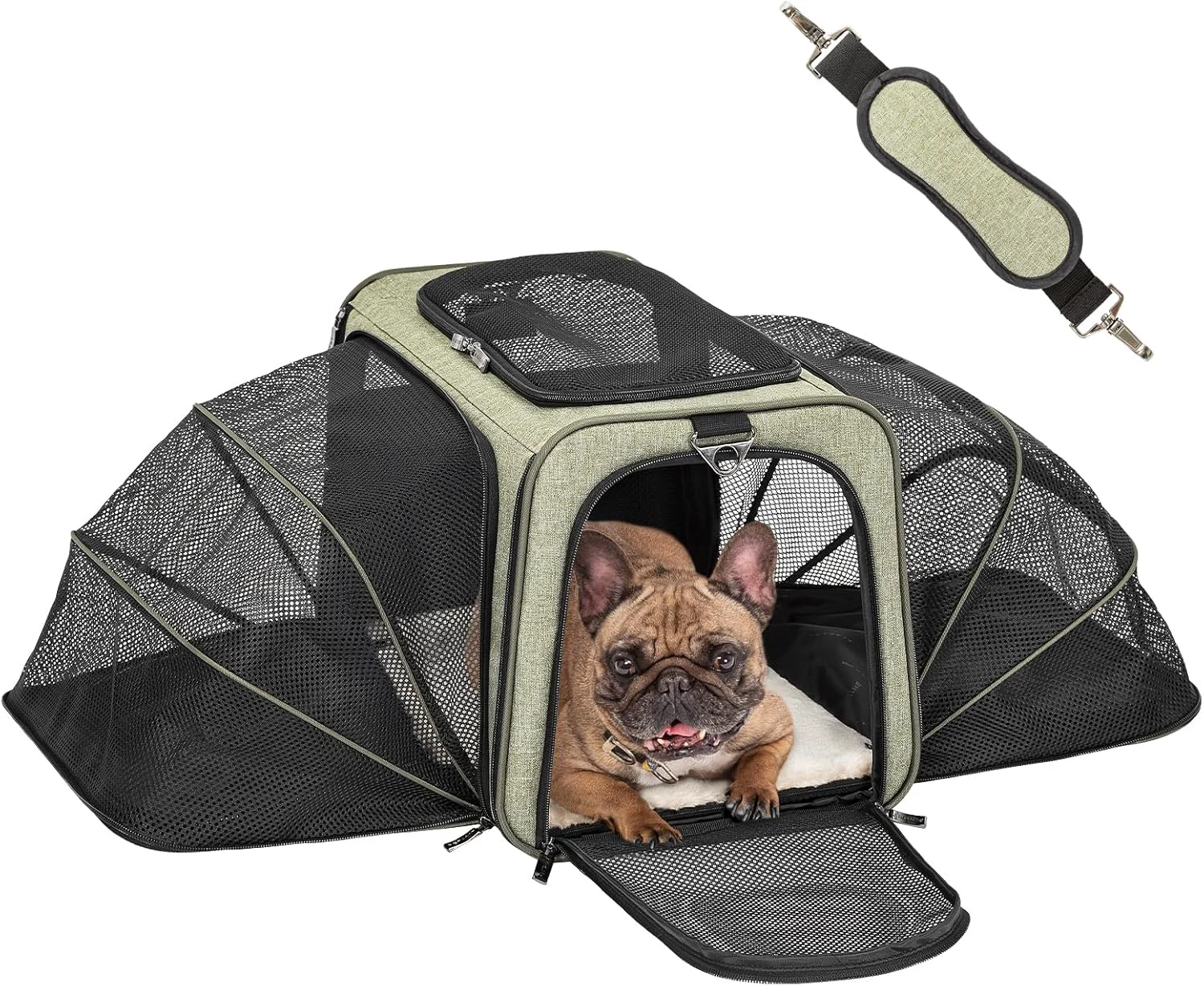 Secure Petsfit Expandable Cat Carrier Dog Carrier Soft-Sided Portable Pet Travel Carrier Removable Soft Plush mat and Pockets Locking Safety Zippers 19x12x12 Inches Dependable