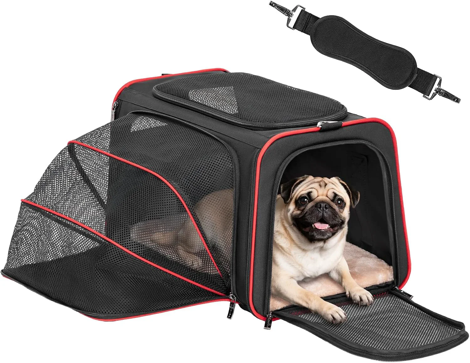 Safe Petsfit Expandable Dog Carrier Large Cat Carrier Soft-Sided Portable Collapsible Pet Travel Carrier for Kittens Puppies or Small Animals 19 x12x12 Inches Black Quality