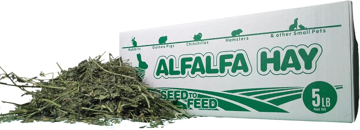 Lightweight High Desert Alfalfa Hay for Rabbits Guinea Pigs Chinchillas Small Pets – Protein-Rich Natural Hay for Young Growing Animals – High-Fiber Hand-Packed Additive- Grown in USA – 5 lb Box Top-Quality