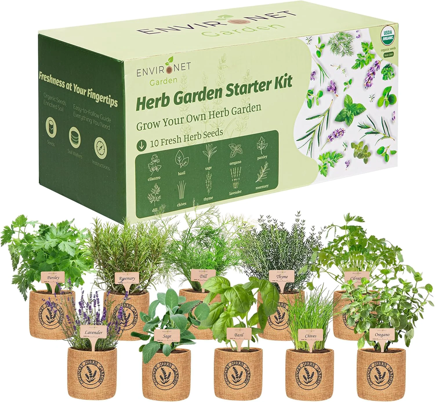 First-Class 10 Indoor Herb Garden Kit- Burlap Pots Organic Seeds Herb Garden Planter Indoor Kit Easy Window Kitchen Herbs Growing Kit Cilantro Basil Sage Oregano Parsley Dill Chives etc. Original Design