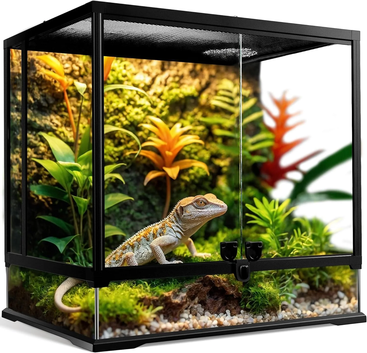 Natural 43 Gallon Professional Glass Terrarium 24 x18 x24 Durable Reptile Habitat Tank with Heat Resistant Aluminum Alloy Frame Dual Front Swinging Doors for no Jam by Sand and Other Debris Fine