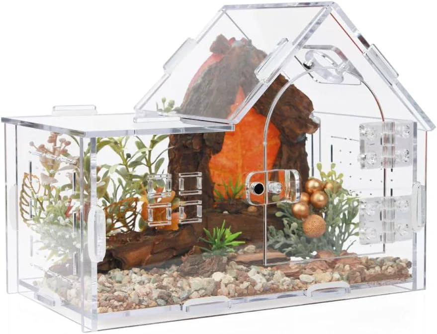 Expertly Made Acrylic Jumping Spider Enclosure - Versatile Reptile Enclosure with One-Click Magnetic Closure for Tarantula Gecko Chameleon Beetle Mantis and Hermit Crab Detailed