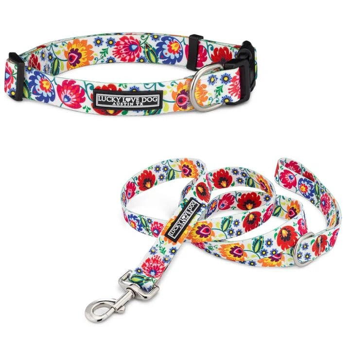 Sustainable Lucky Love Dog Ladybird Combo Easy Click Buckle Collar 5ft Leash Small Artisan