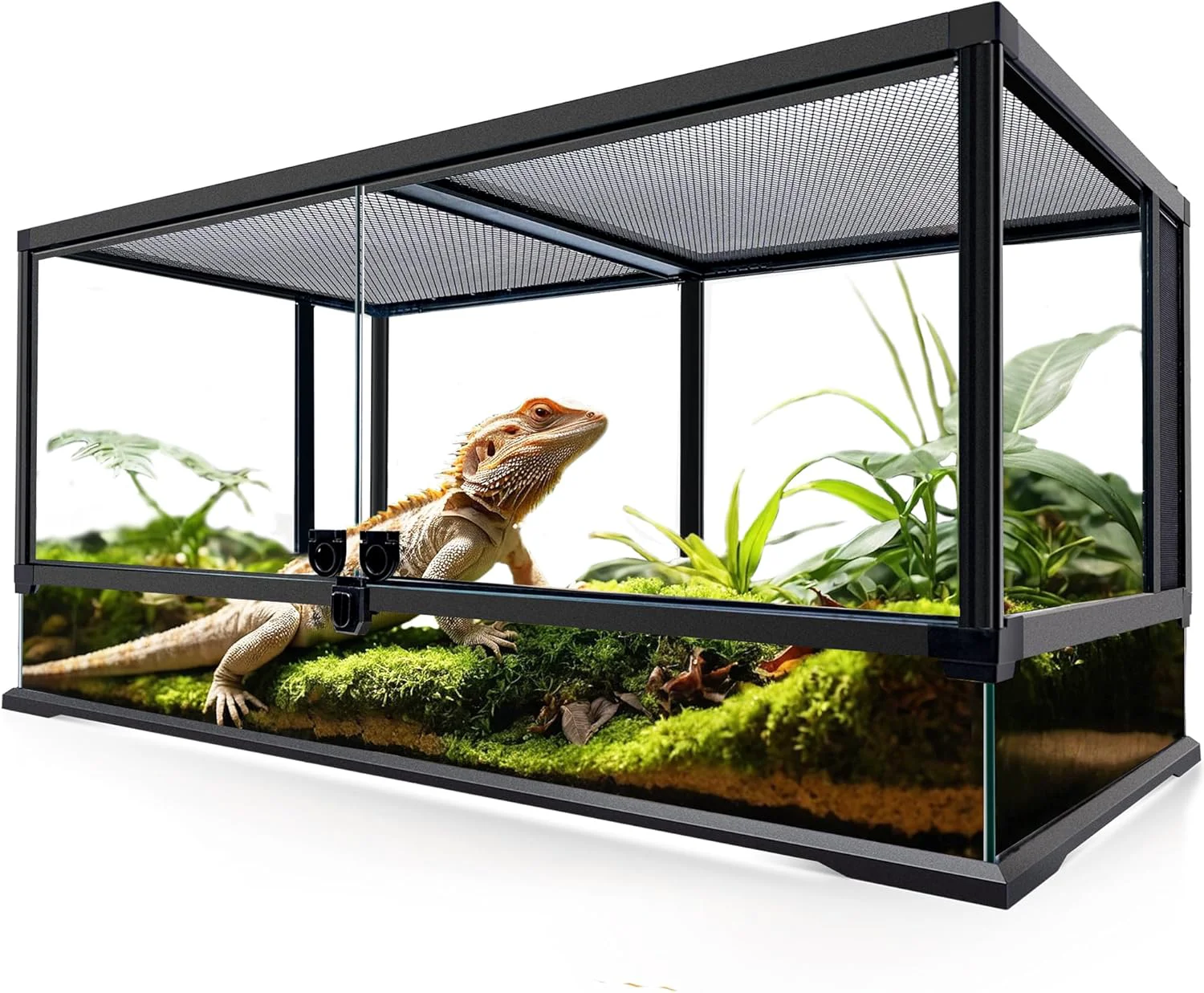 Reusable 48 Gallon Professional Glass Terrarium 36 x18 x18 Durable Reptile Habitat Tank with Heat Resistant Aluminum Alloy Frame Dual Front Swinging Doors for no Jam by Sand and Other Debris Green