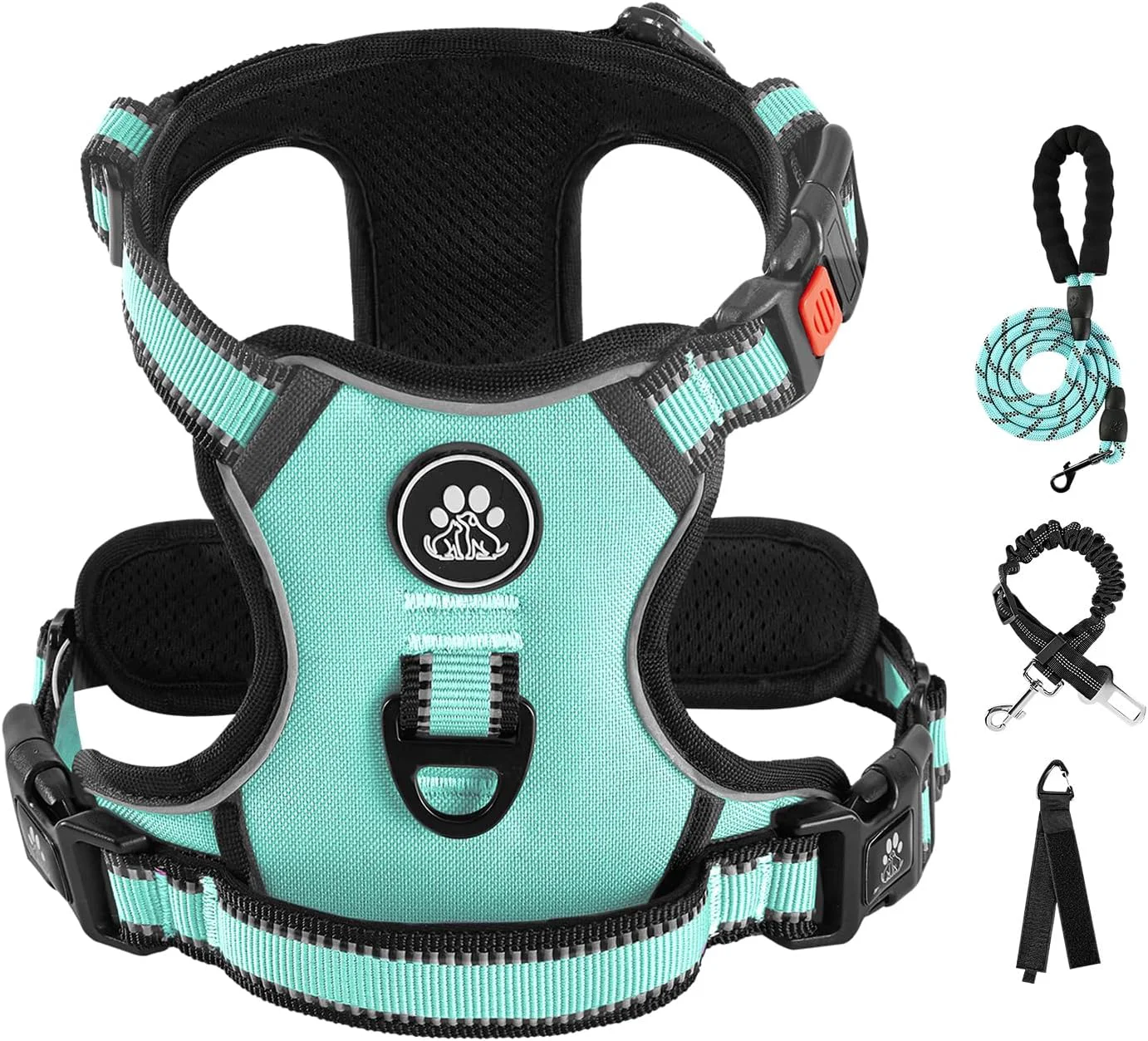 Eco-Friendly IVY LANE No Pull Dog Harness with Leash Set Reflective No Choke Pet Vest Adjustable Oxford Dog Vest Harness with Easy Control Handle for Medium Dogs Turquoise M Elegant