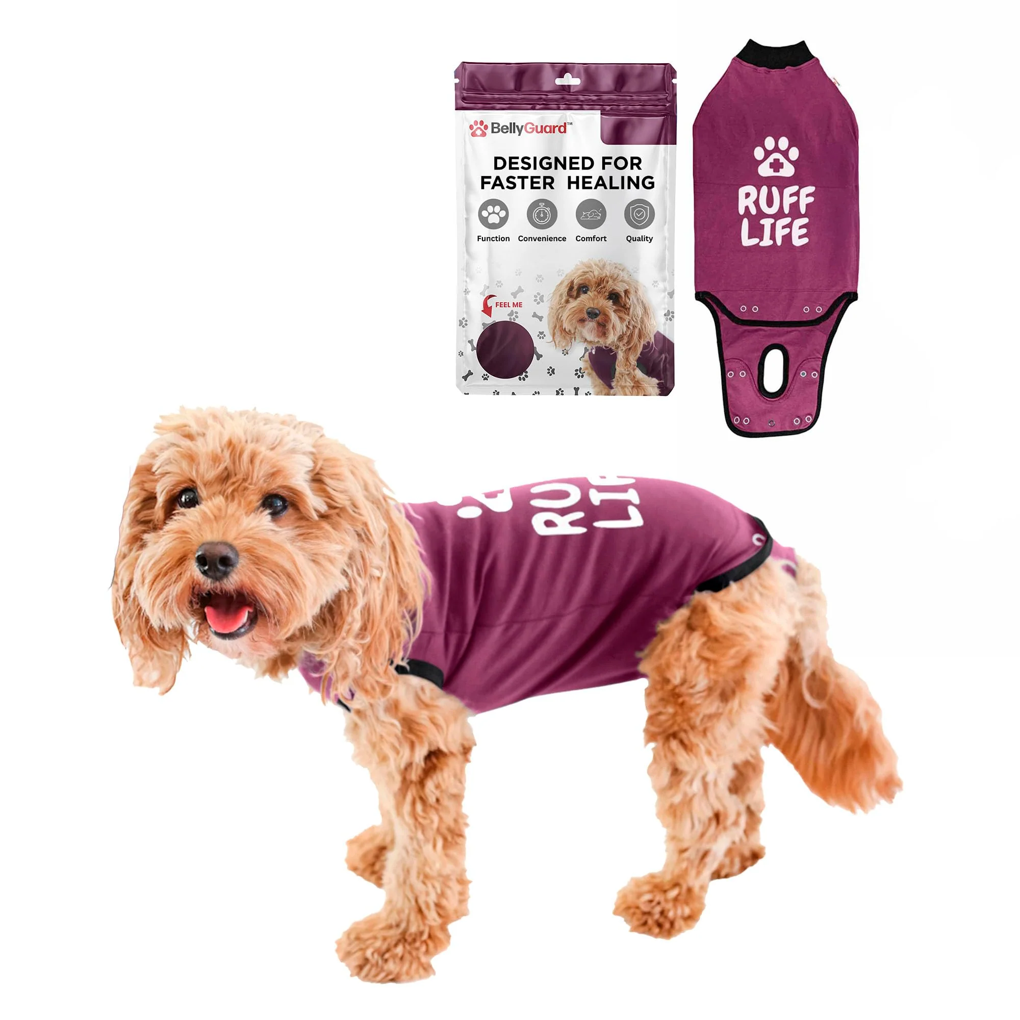 Casual BellyGuard Dog Surgery Recovery Suit – Post-Op Comfort Cone- Healing Prestigious