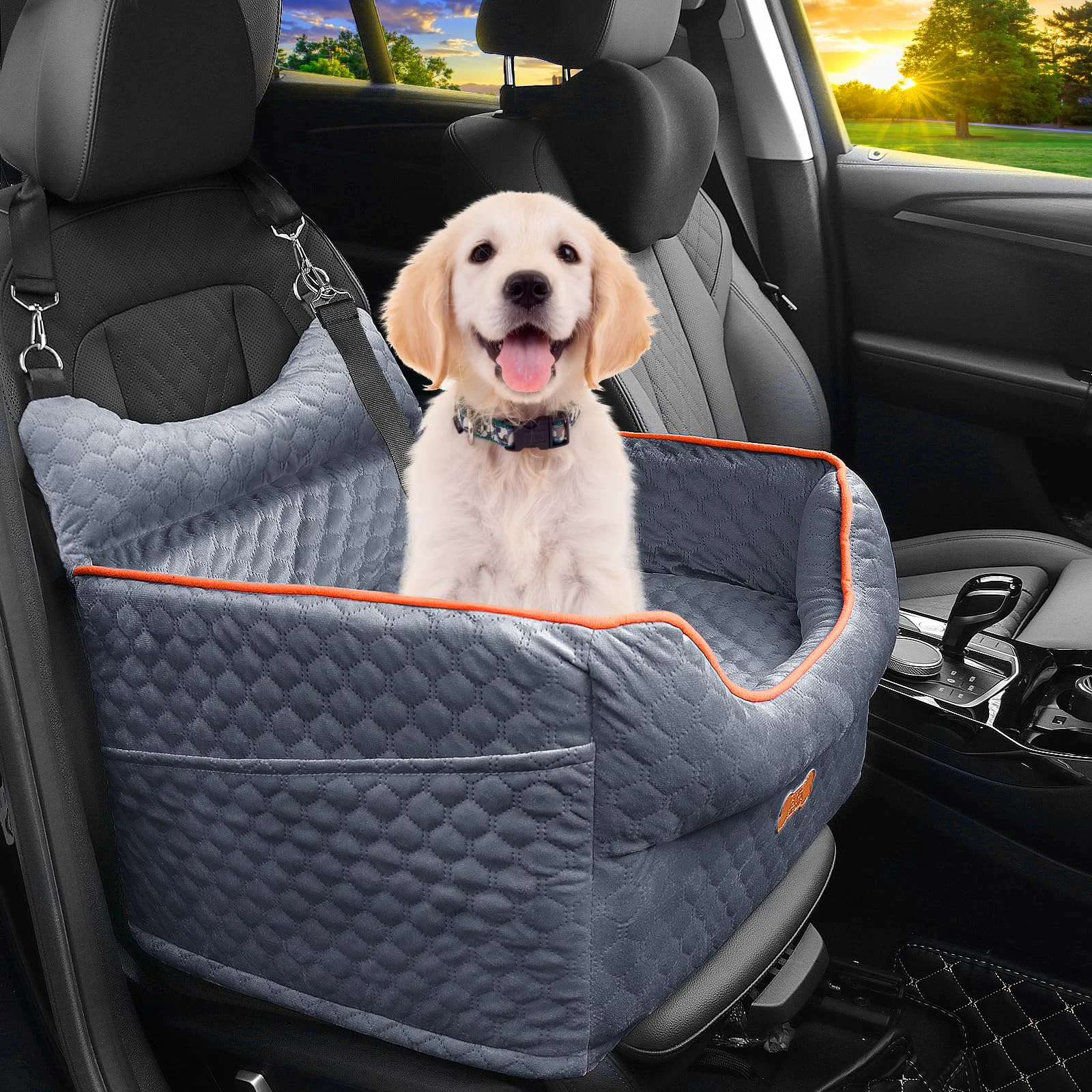 Versatile EUHAMS Dog Car Seat - Memory Foam Booster for Small Dogs Up to 25 lbs Quality