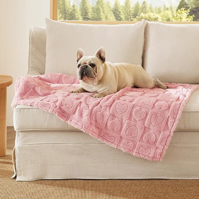 Clean Bedsure Dog Blanket for Medium Dogs Washable Functional