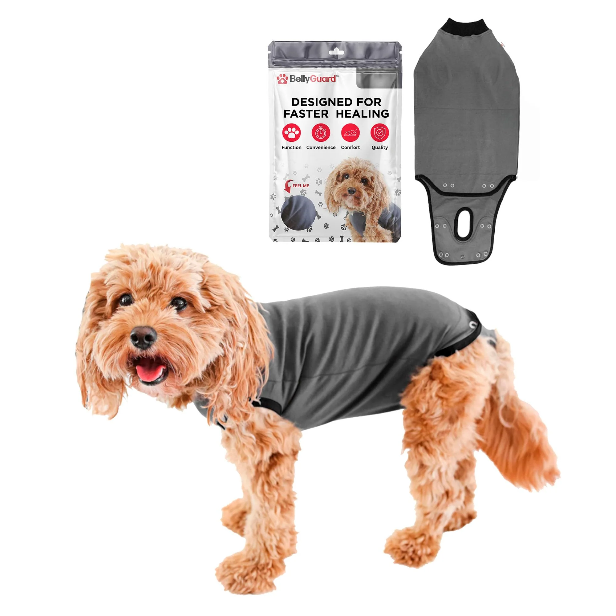 Sophisticated BellyGuard Dog Surgery Recovery Suit – Post-Op Comfort Protection Official