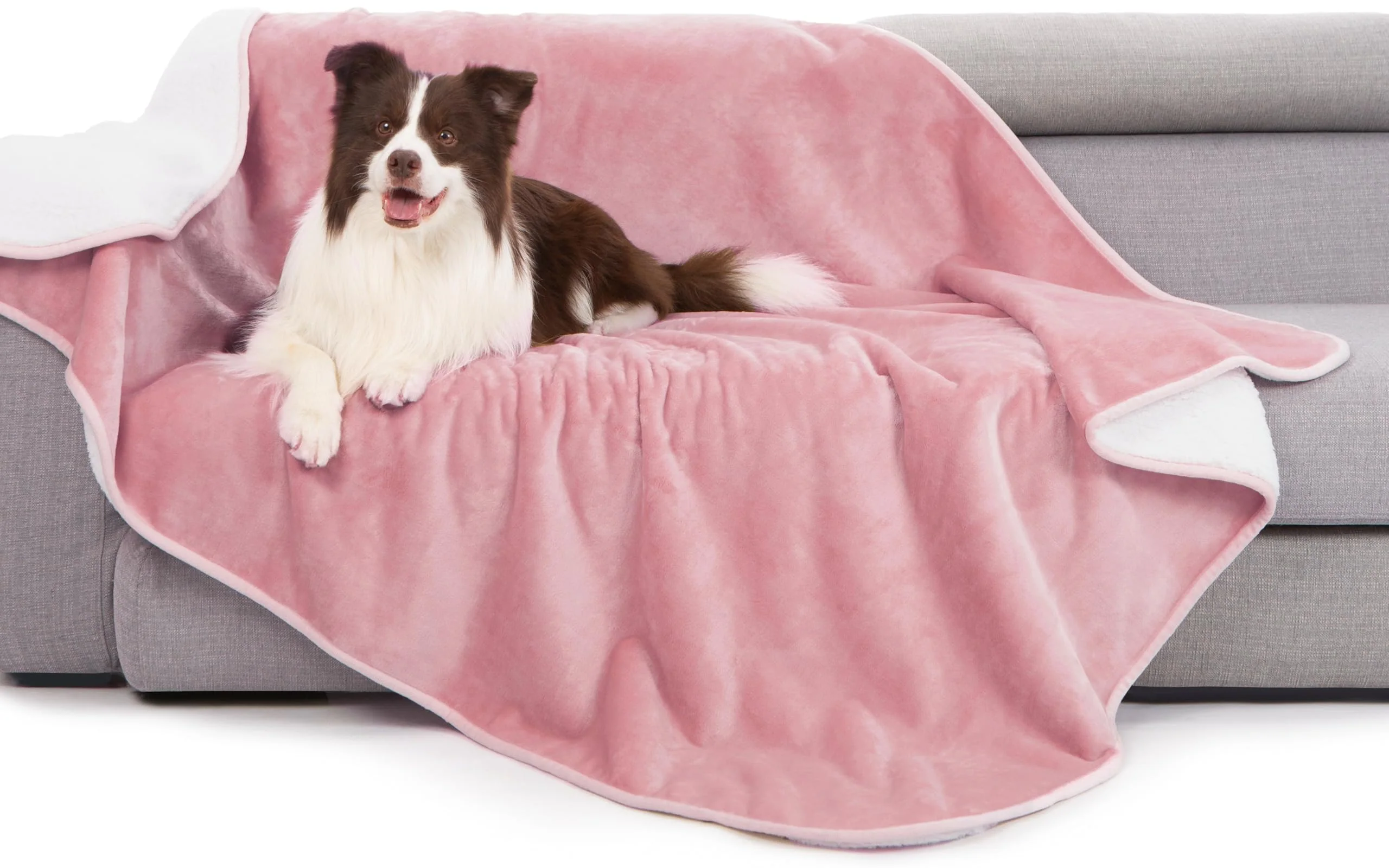 Contemporary gogobunny Waterproof Bed Blanket - Reversible Sherpa Fleece Throw for Pets 50x60 Recyclable