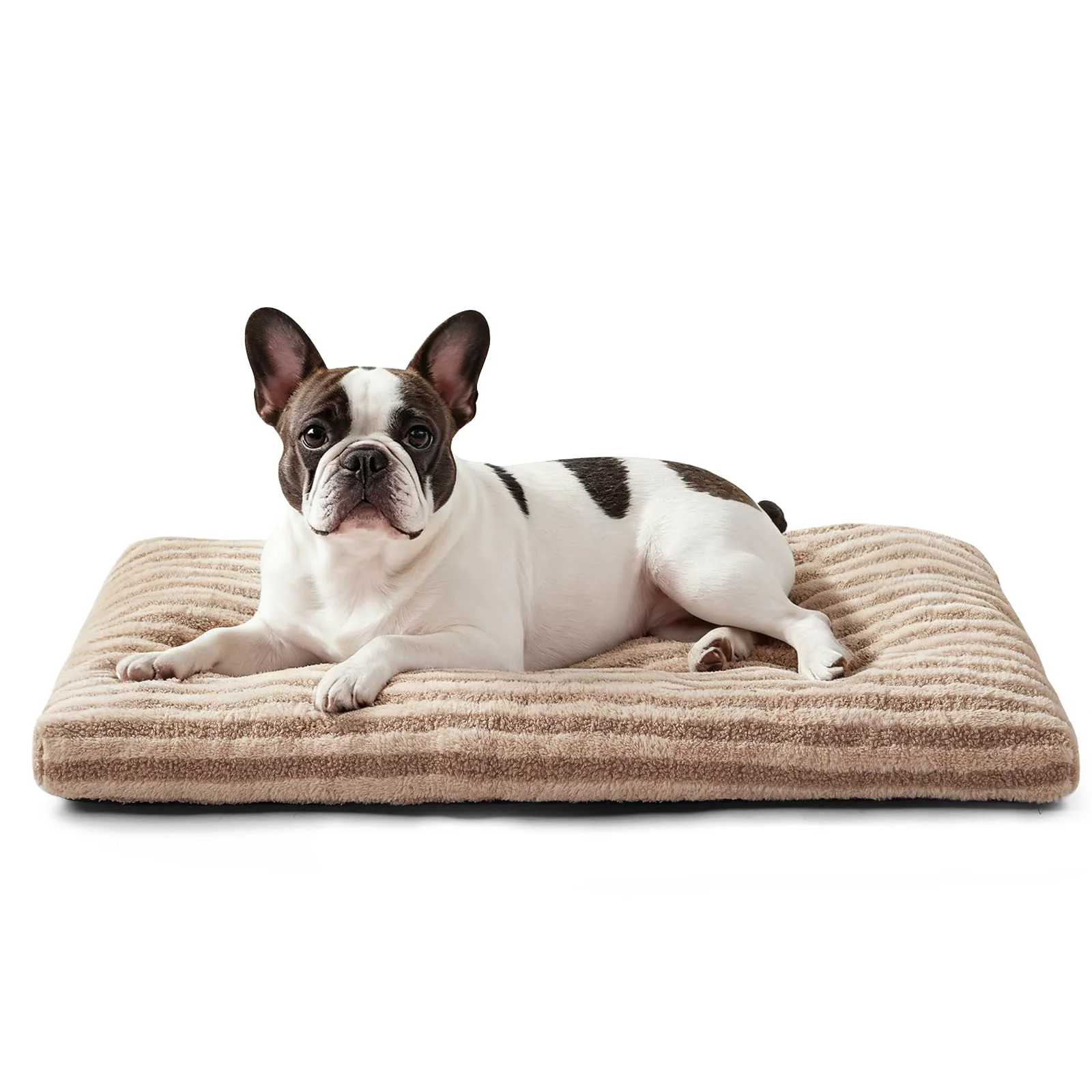 Premium Material FURTIME Washable Small Dog Bed – Plush 23x18x3 Anti-Slip Kennel Pad Contemporary