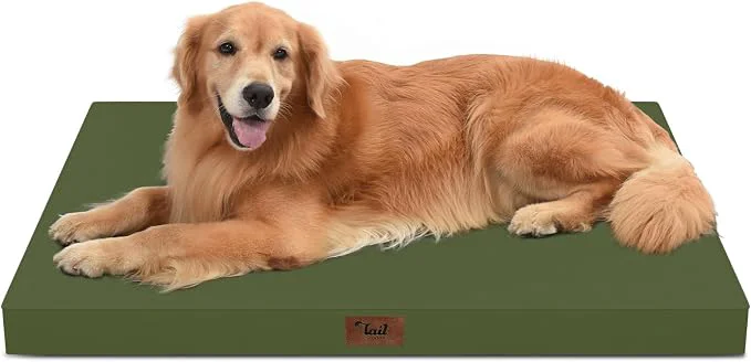 Trendy Outdoor Extra Large Dog Bed Waterproof Dog Bed Reliable