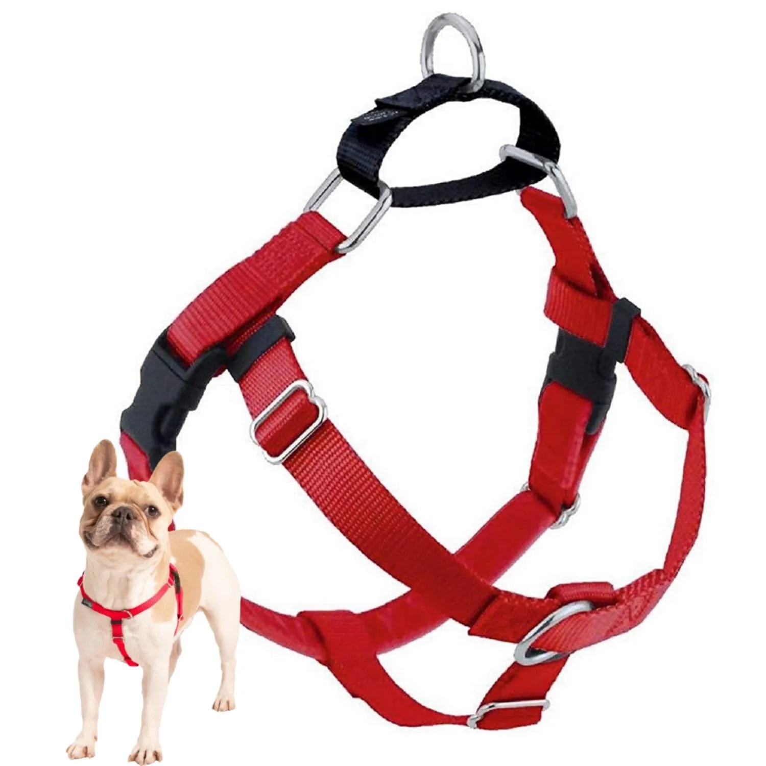 Easy-to-Use 2 Hounds Design dom No Pull Harness - Adjustable Front-Lead Control Made in USA Lightweight