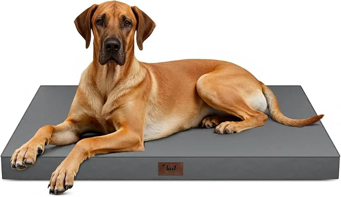 Efficient Outdoor Extra Large Dog Bed Jumbo Waterproof Dog Bed Green
