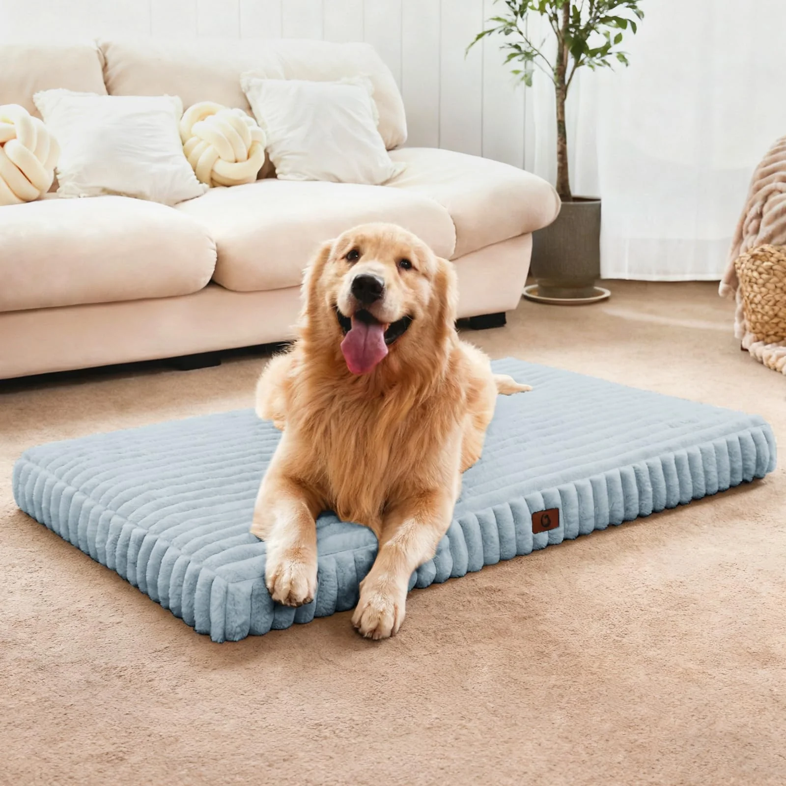 Detailed Cozila Orthopedic Dog Bed Medium – Waterproof Lining Plush Short Surface Egg Crate Foam Easy-to-Use