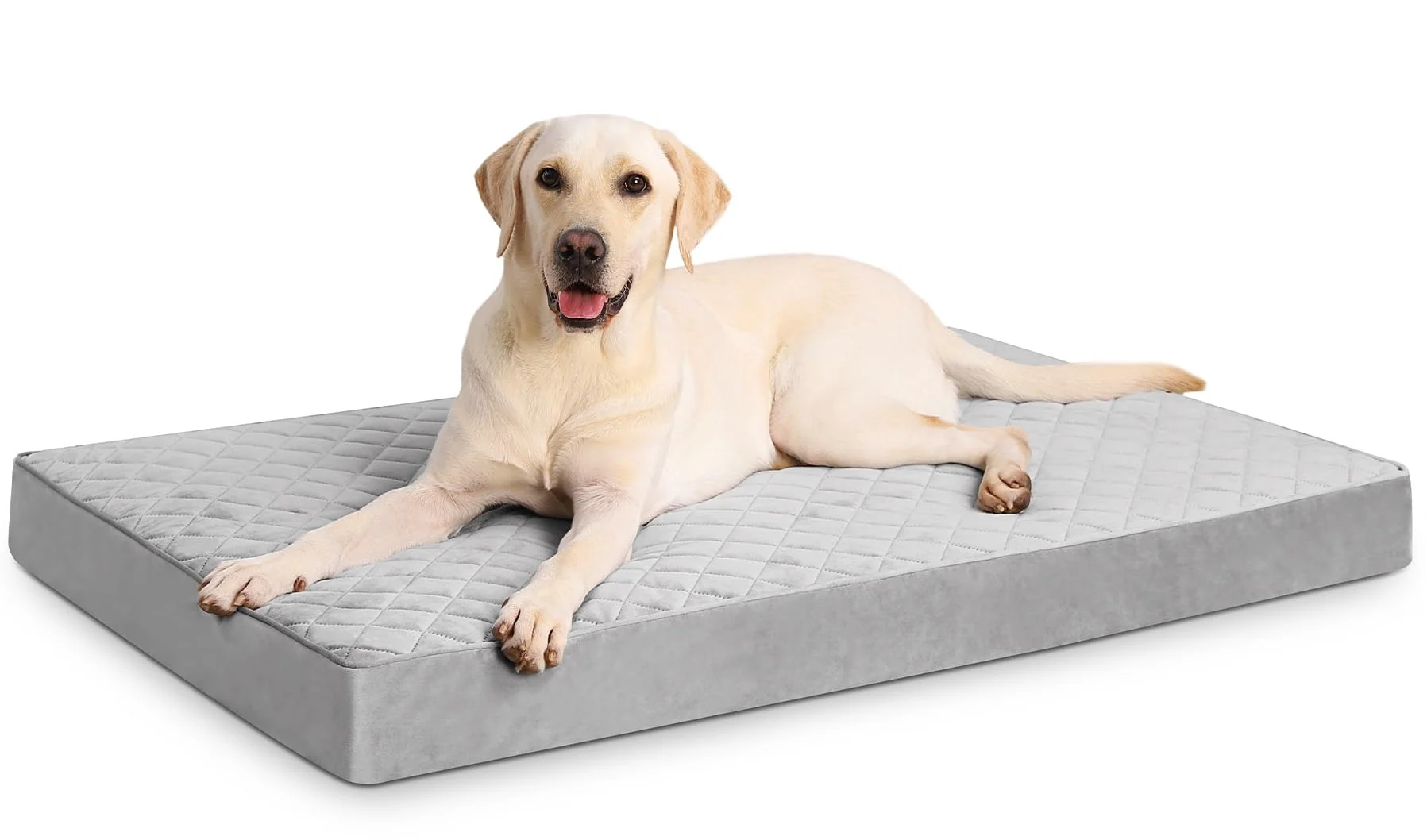 Practical NUPIDA Orthopedic XL Dog Bed 41x27 - Waterproof Removable Cover Prestigious
