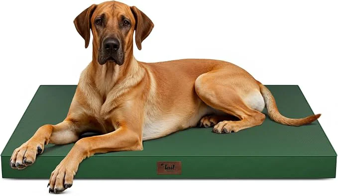 Optimized Outdoor Extra Large Dog Bed Jumbo Waterproof Dog Bed High-Performance
