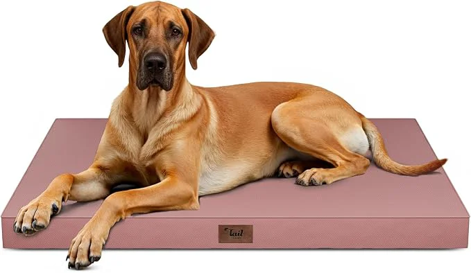 Flexible Outdoor Extra Large Dog Bed Jumbo Waterproof Dog Bed Fashionable