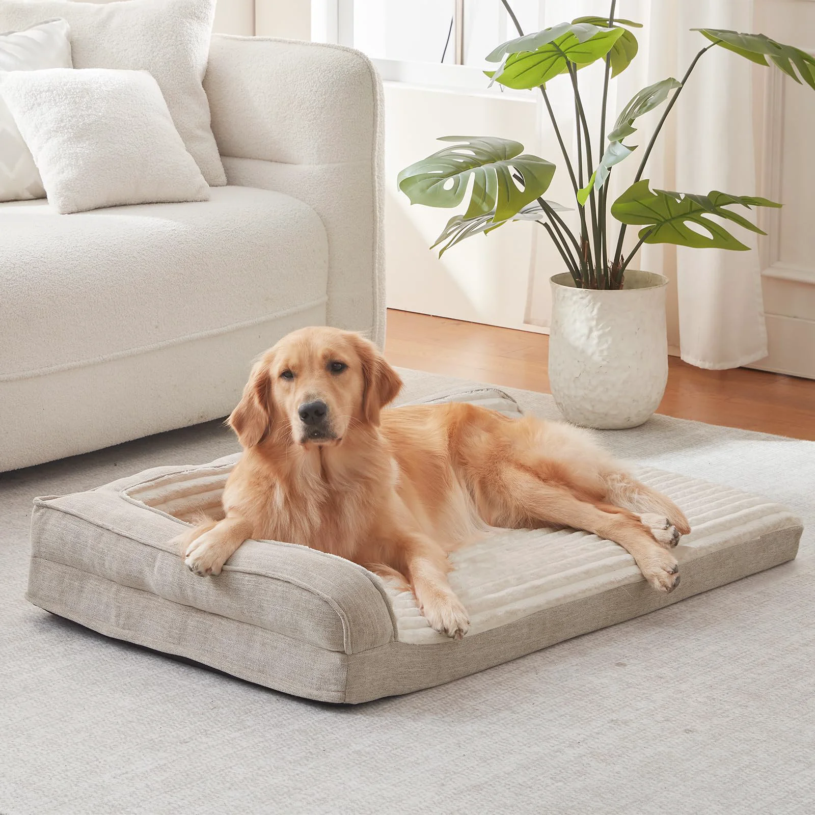 Proven WINDRACING Orthopedic Dog Bed for Large Dogs – 36 x 27 in L Bolster Sides Removable Cover Beige Recyclable