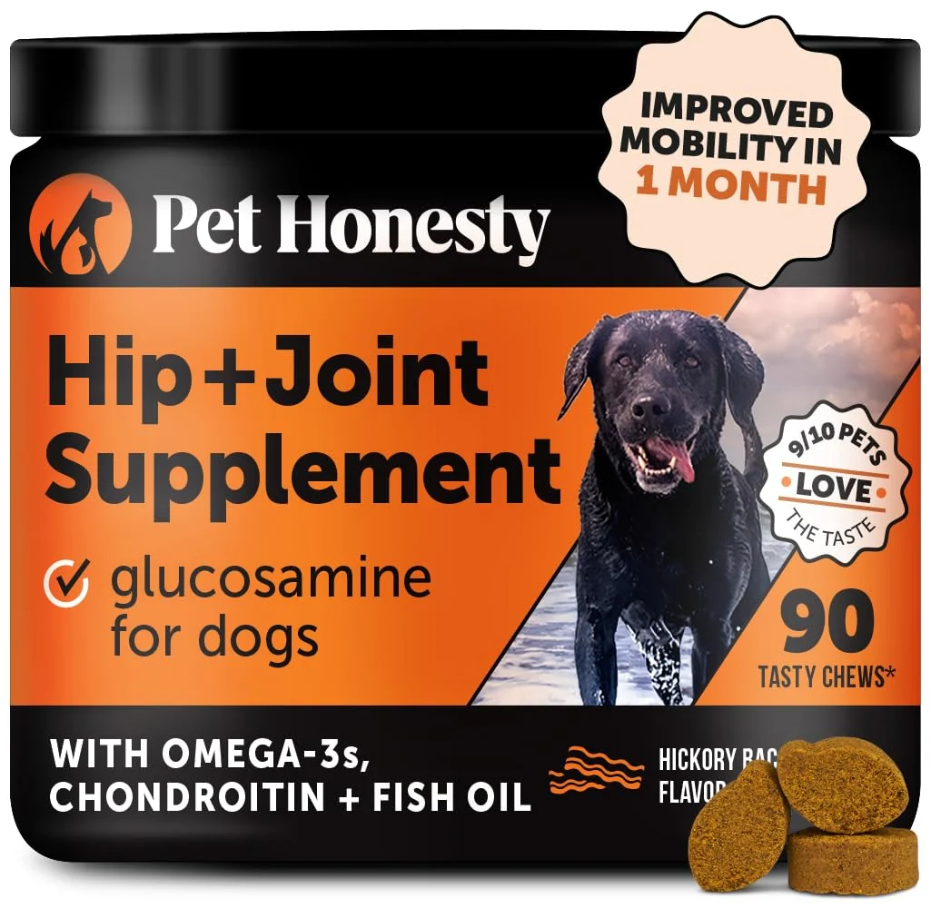 Fashionable Pet Honesty Hip Joint Health Soft Chews for Dogs — Glucosamine Turmeric MSM Bacon 90 Count Artisan