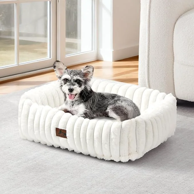 Contemporary Washable Dog Bed for Small Medium Dogs High-End