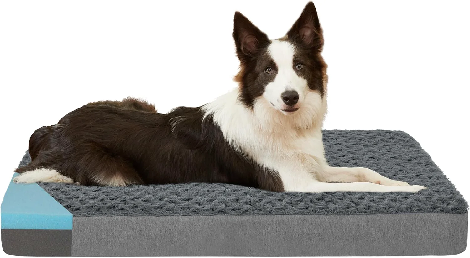 Exclusive Orthopedic Memory Foam Bed for Large Dogs Waterproof Cooling Pet Mats for Crate with Removable Washable Cover I for Arthritic Dogs Large plus-36 x 27 x 3 Rose Plush Fine Crafted