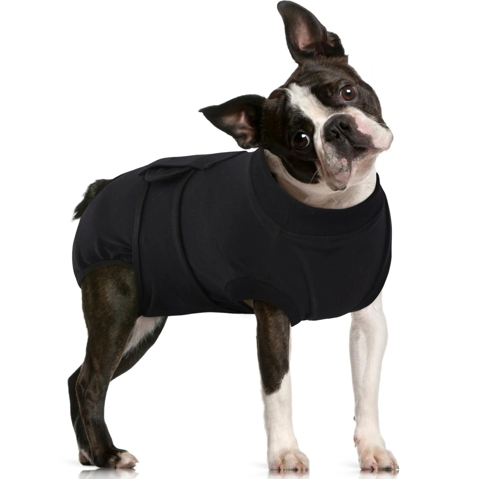 Powerful FUAMEY Dog Recovery Suit for Post-Surgery Care Spay Neuter Recovery Bodysuit Black L Next-Generation