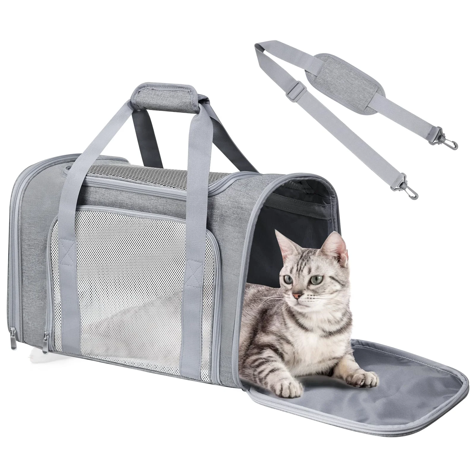Modern FOORLON Cat Carrier Soft for Pets Up to 25 lbs – Airline- Soft-Sided Travel Bag Unique