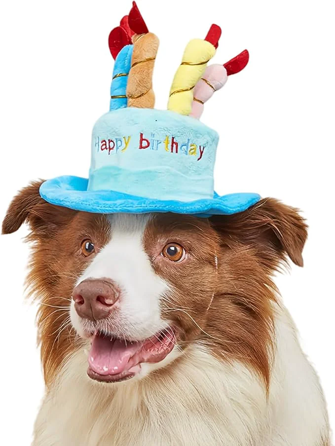 Superior Cute Pet Party Hat for Dogs Cats Original Design