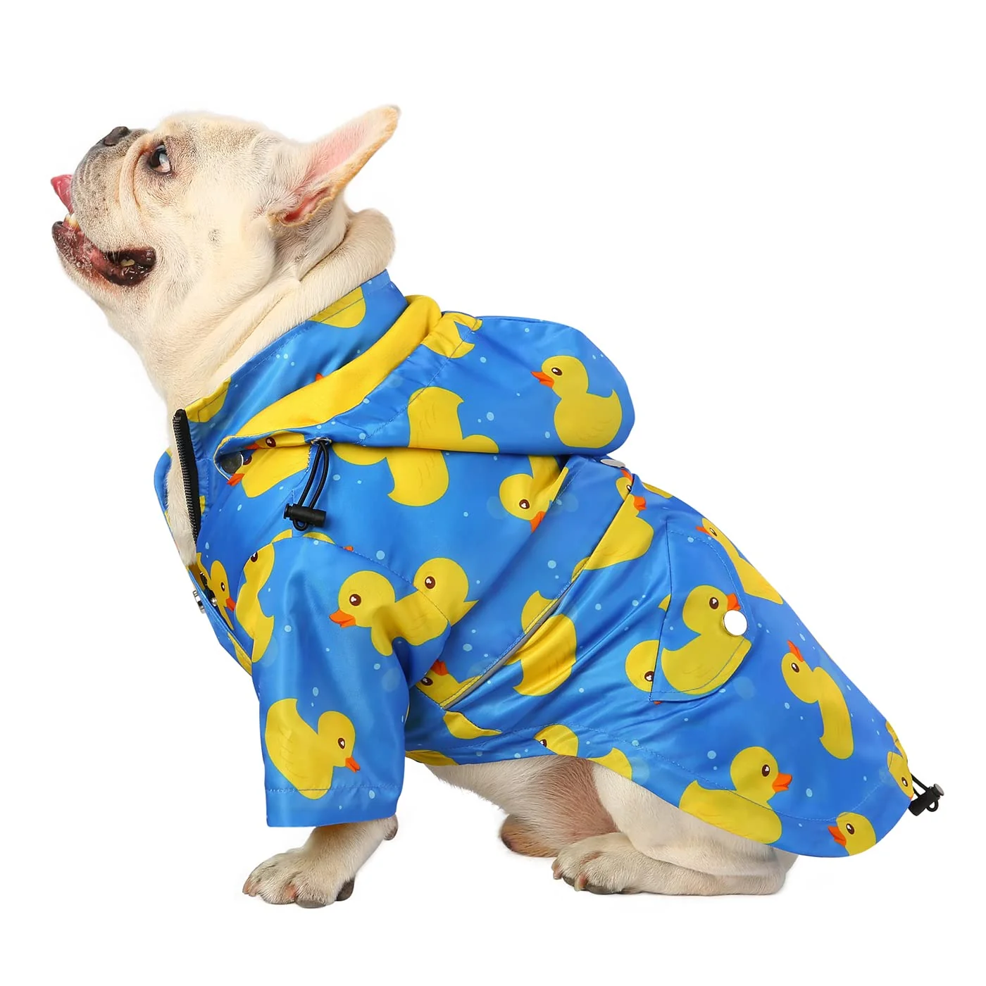 Specialty HDE Dog Raincoat Poncho – Double Layer Zip Rain Jacket with Removable Hood M Ducks Blue for Small–3XL Dogs Official