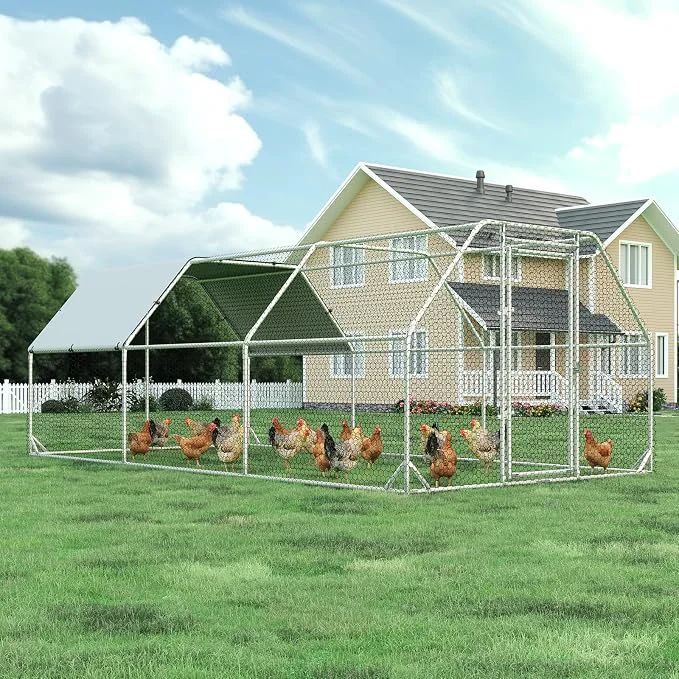 Fast Large Metal Chicken Coop Walk-in Chicken Run Efficient
