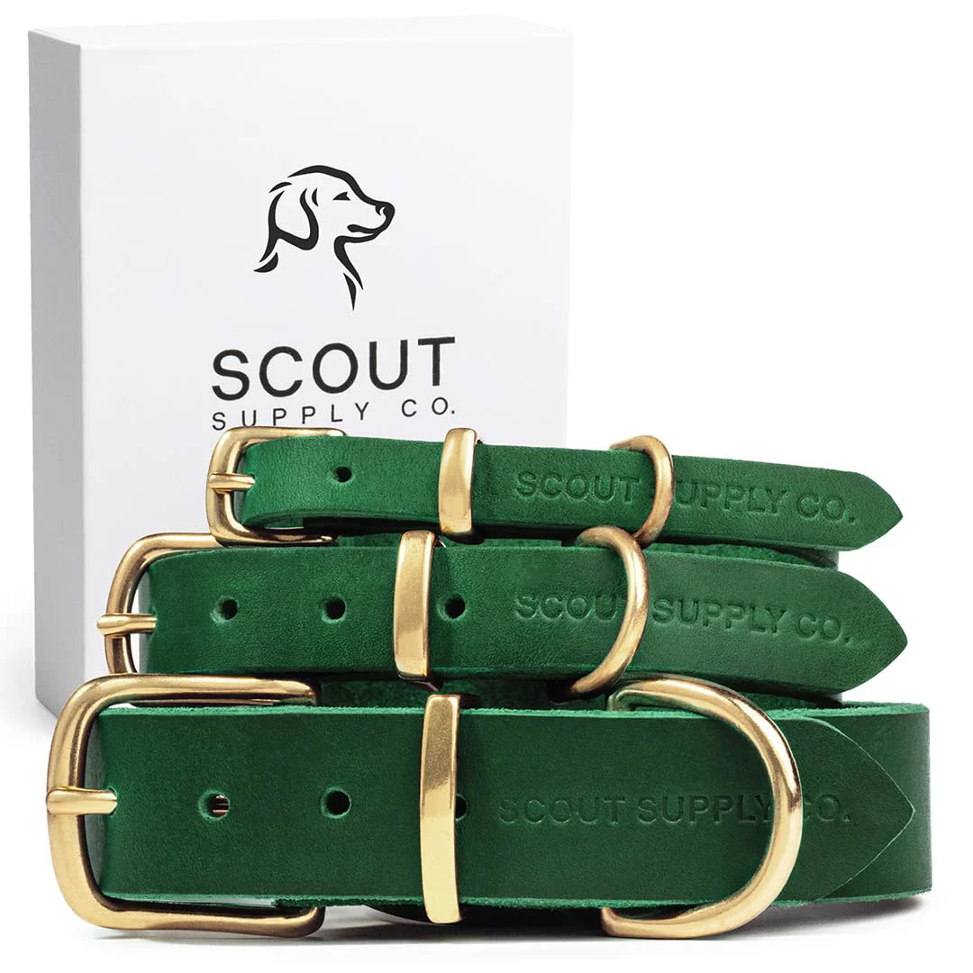 Efficient Scout Supply Co. Classic Leather Dog Collar - Heavy Duty Wide Collar for Medium to XXL Dogs 0.8 inch wide 13.5-16 inch neck Practical
