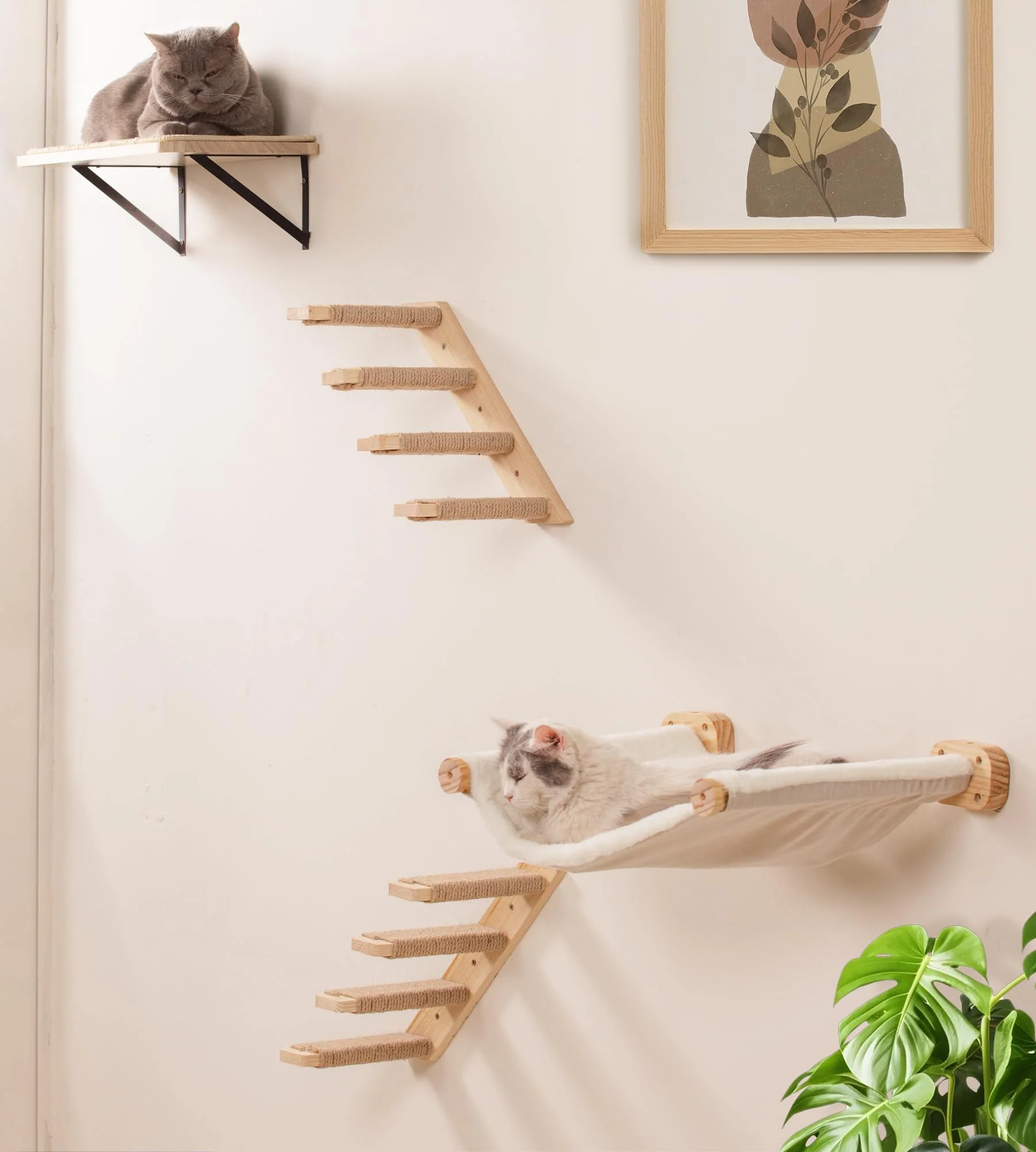Outstanding PELUMOZ Cat Wall Shelves Set of 4 - Hammock Ladders Flat Shelf Luxury