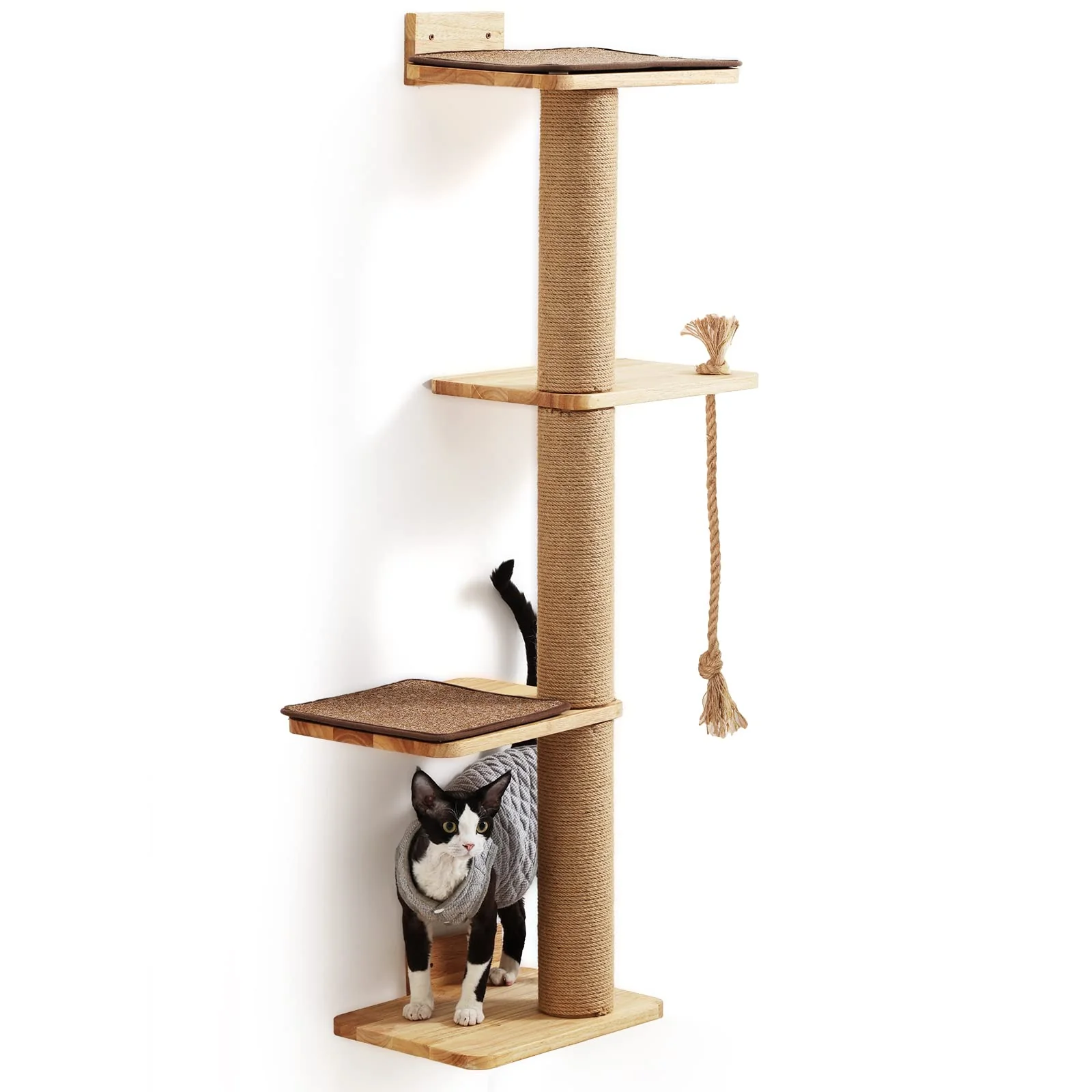 Verified FUKUMARU 50-Inch Wall Mounted Cat Scratching Activity Tree with Kitten Bed Rubber Wood Premium