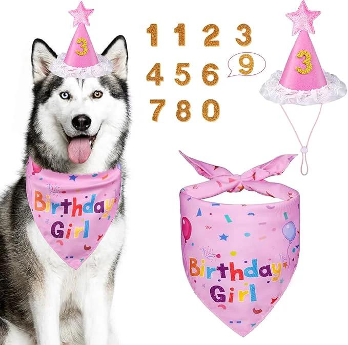 Healthy Dog Boy Girl Birthday Party Hat Dog Birthday Party Supplies Doggie Birthday Artisan