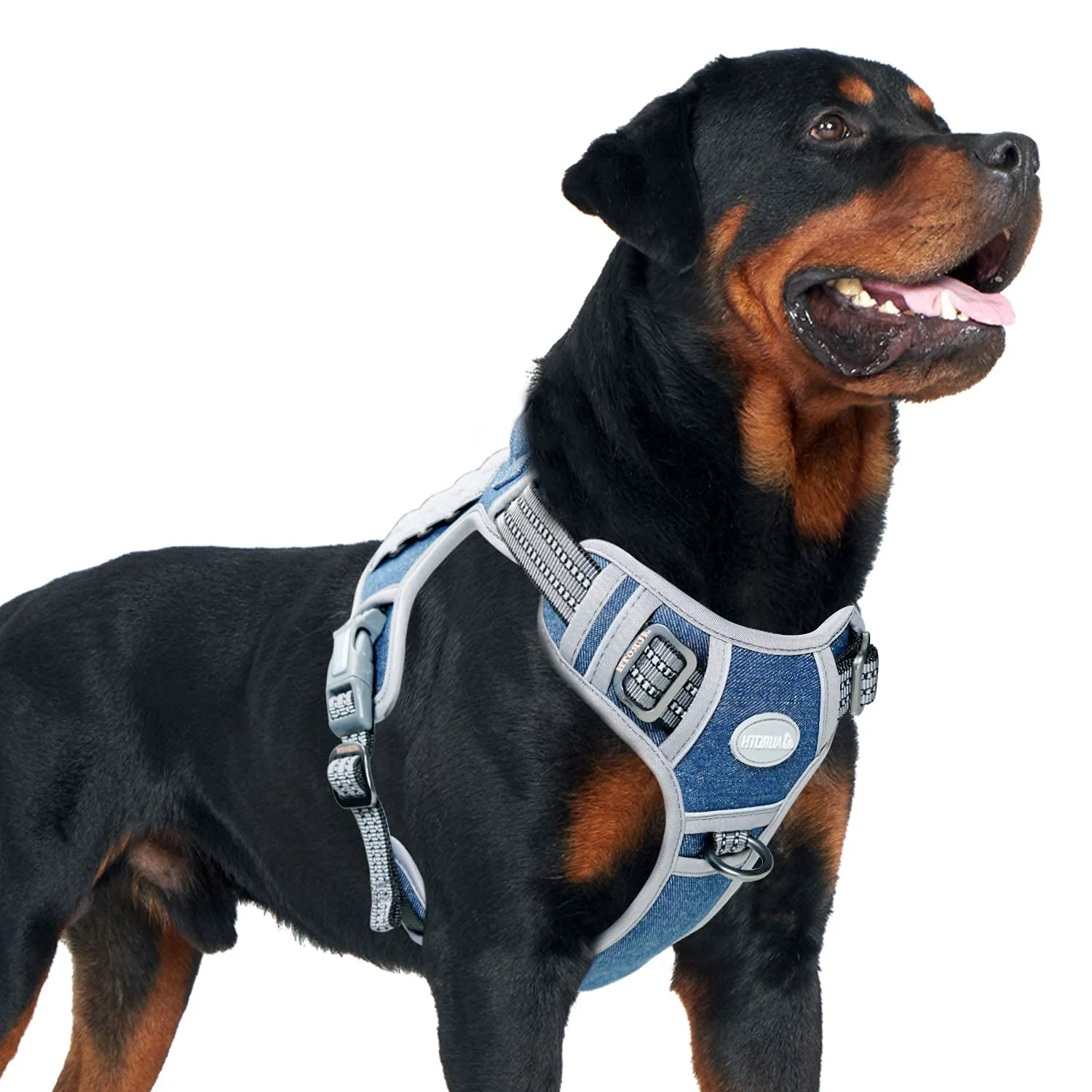 Classic AUROTH Tactical Dog Harness – No-Pull Reflective Molle XL Denim Blue Elite