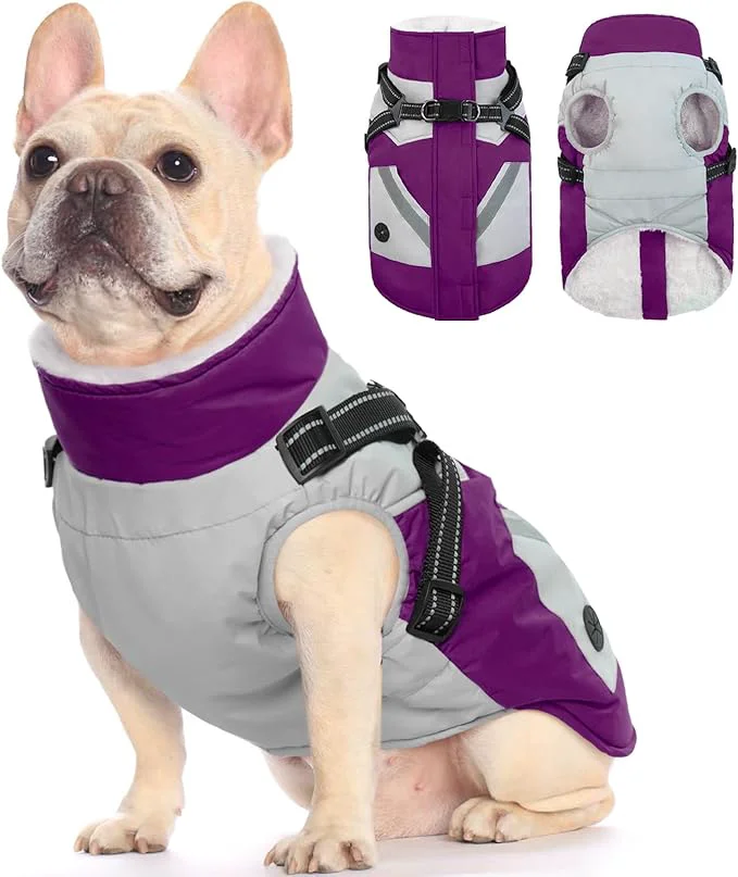 Elegant FUAMEY Dog Winter Jackets for Medium Dogs Dog Coat with Harness Built in Waterproof Dogs Snowsuits Warm Pet Jacket Zip Up Fleece Cold Weather Coats Reflective Puppy Vest with Pocket Purple MAbout ThisOverview Prestigious