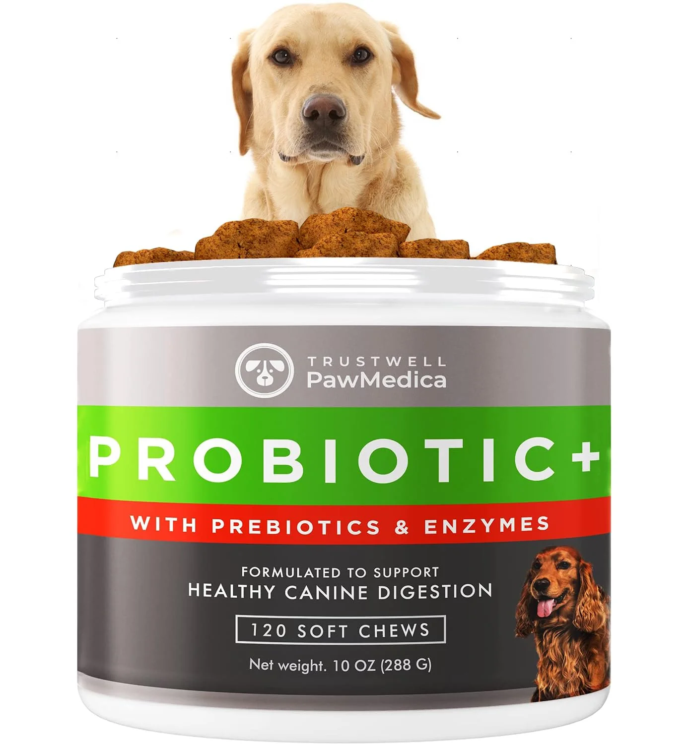 Recyclable TrustWell PawMedica Dog Probiotics Digestive Enzymes – Made in USA 120 Chews Contemporary