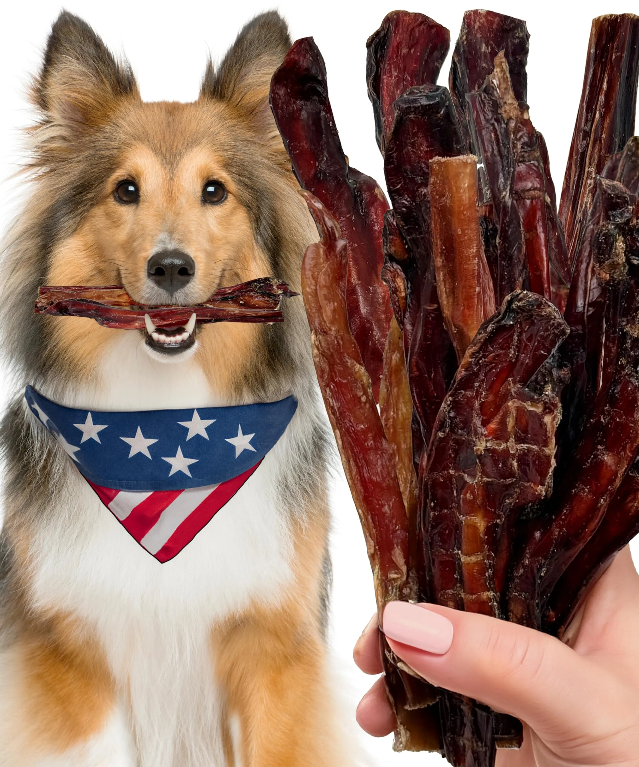 Efficient Lively Tails Bully Sticks for Dogs – 6-Inch Pizzle Sticks USA-Sourced Rawhide- 8oz 12–14 Treats Exclusive