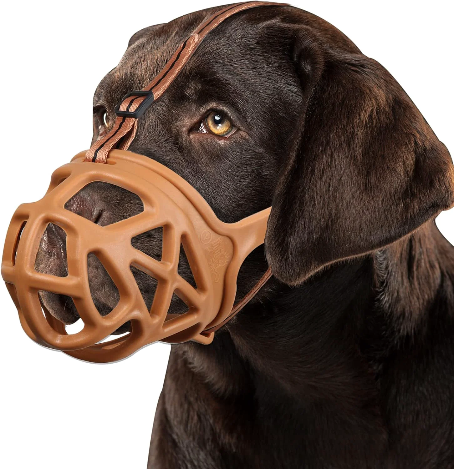 Comfortable BARKLESS Dog Muzzle Basket Muzzle for Biting Chewing and Scavenging Humane Cage Mouth Cover for Grooming and Training Small Medium Large Aggressive Reactive Dogs M Brown Trendy