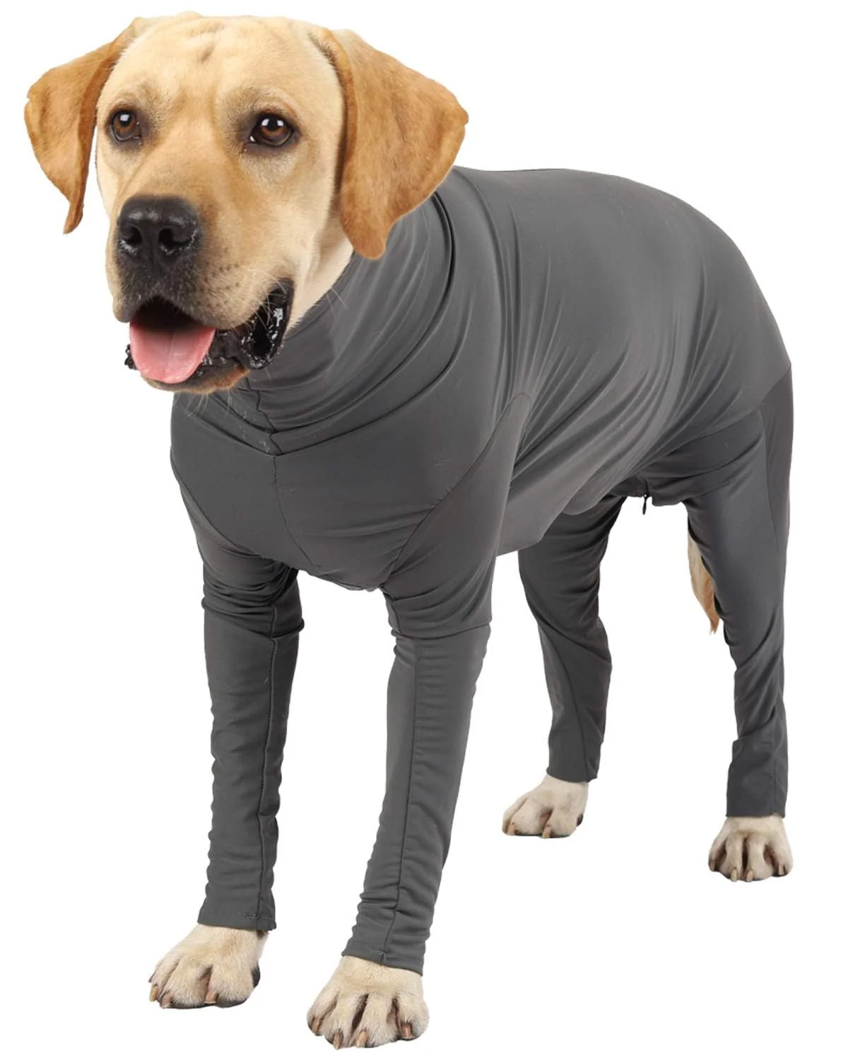 Premium Etdane Recovery Suit for Dogs – Post-Surgery Anti-Licking Shedding Control Grey Large Efficient
