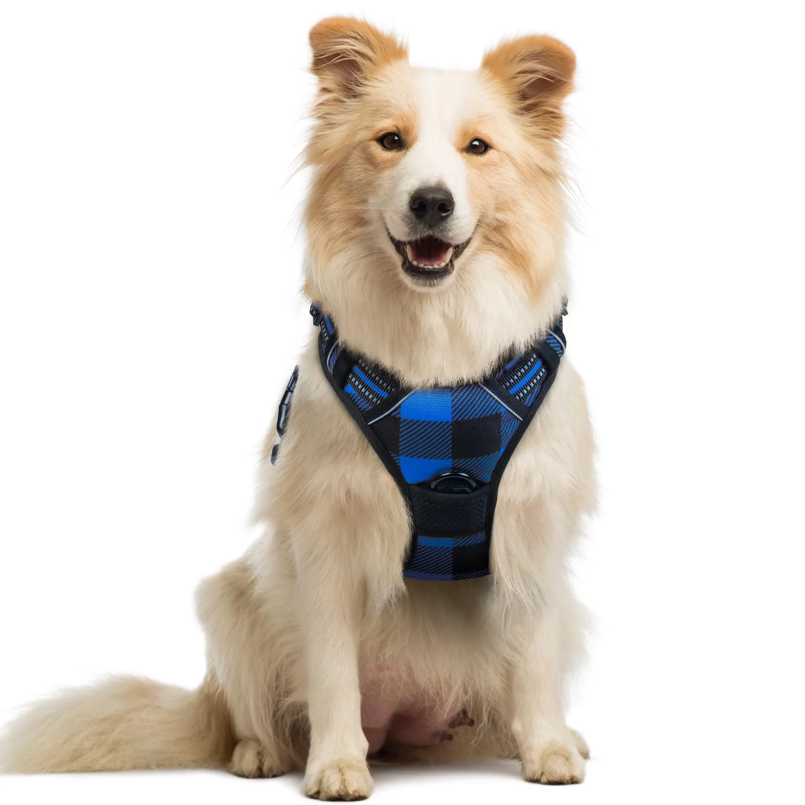 Verified Rabbitgoo No-Pull Dog Harness with 2 Leash Clips Adjustable Reflective Soft Padded — Blue Plaid Medium Genuine