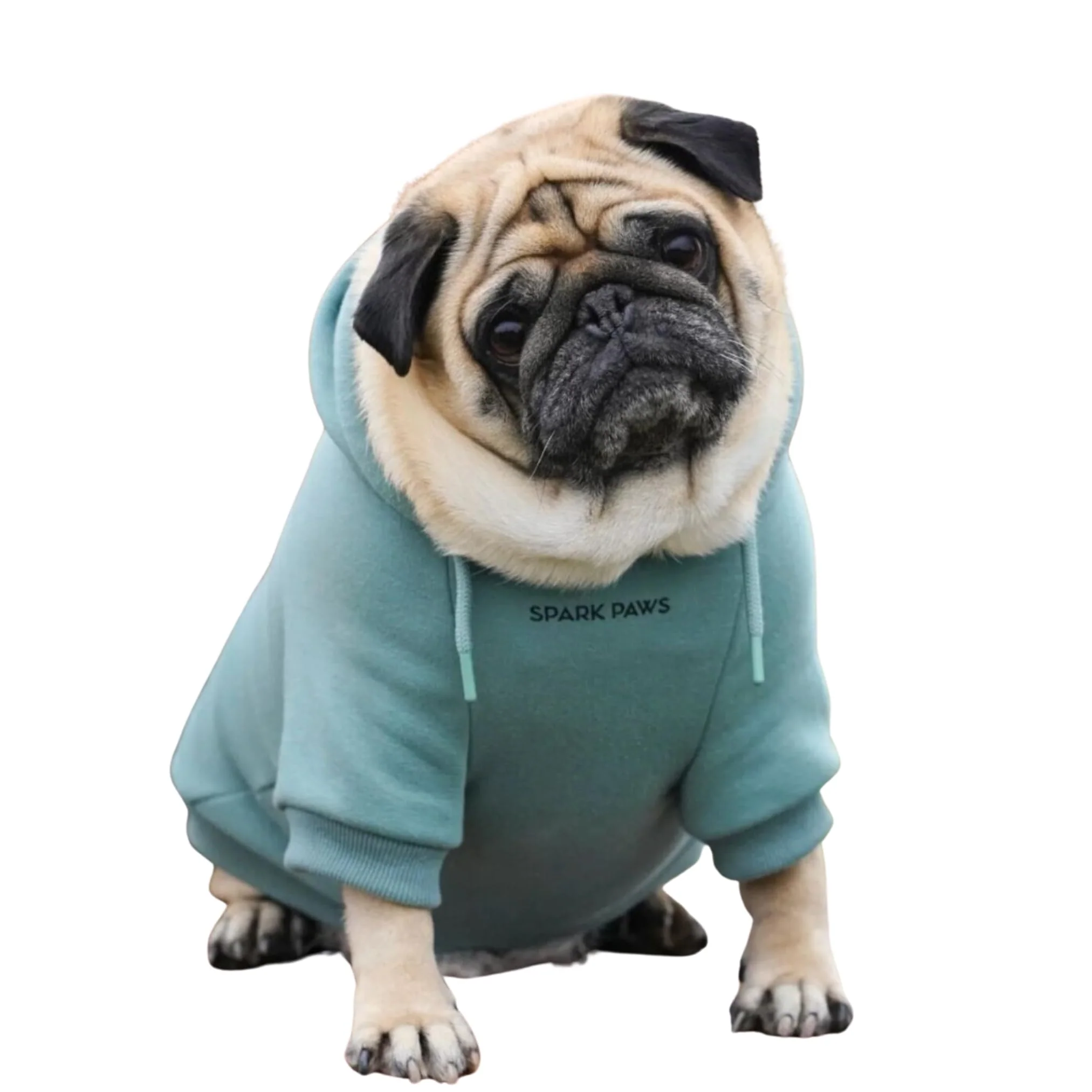 Quality Spark Paws Dog Hoodie – Premium 4-Way Stretch Fleece Hoodie for Small to Large Dogs Teal Size L Solid