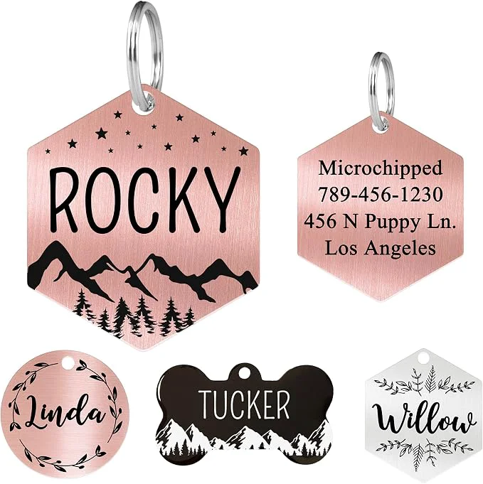 Artisan Ultra Joys Stainless Steel Pet ID Customized Personalized Front and Back Secure