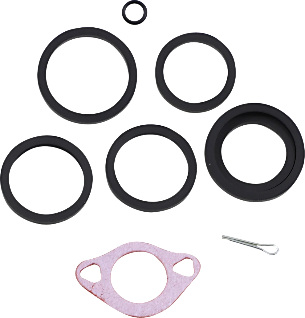 Fast ARLEN NESS 6 Piston Caliper Rebuild Kit 320-000 Authentic