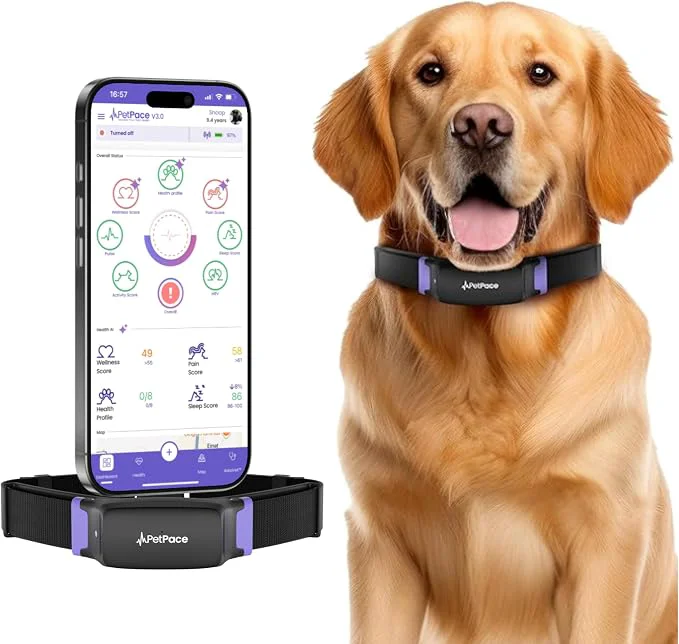 Effective NEW Dog Health Monitor V3.0 by PetPace – AI Smart Collar Carefully Designed