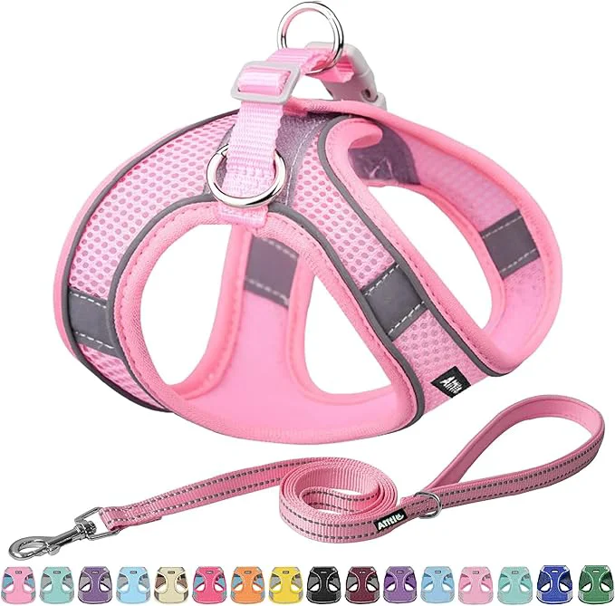 Fine AIITLE Escape Proof Dog Harness Breathable