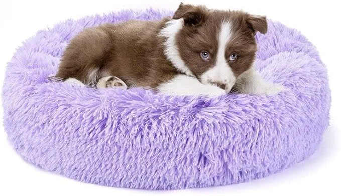 Carefully Designed Large Cat Beds for Indoor Cats Artisan