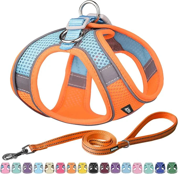 Clean AIITLE No Pull Dog Harness and Leash Set Step in Adjustable Dog Harness Healthy